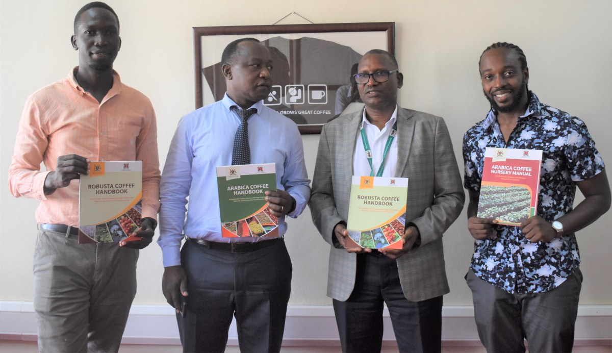 Cum se feresc fermierii din Uganda de furtul de cafea?